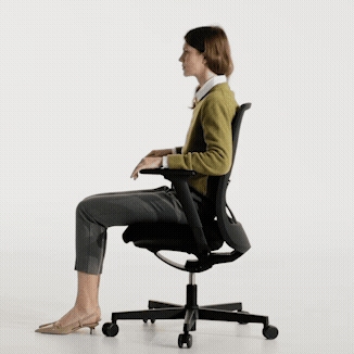 air-flex2.gif